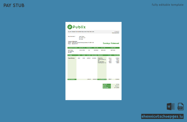 Beispiel einer Gehaltsabrechnung der Supermarktkette Publix Super Markets Inc. (USA)